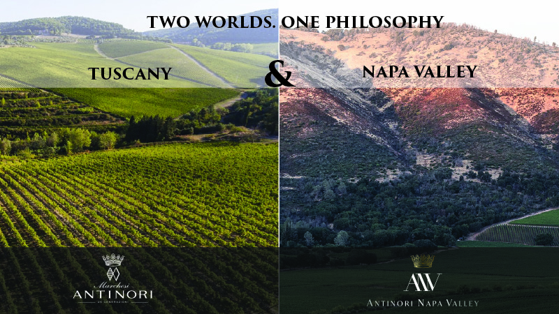 An Evening with Antinori — photograph 4 of 4